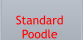 Standard  Poodle