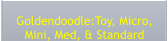 Goldendoodle:Toy, Micro, Mini, Med, & Standard