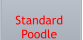 Standard  Poodle